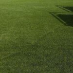 Most Advanced Developments in Artificial Grass for Play Areas