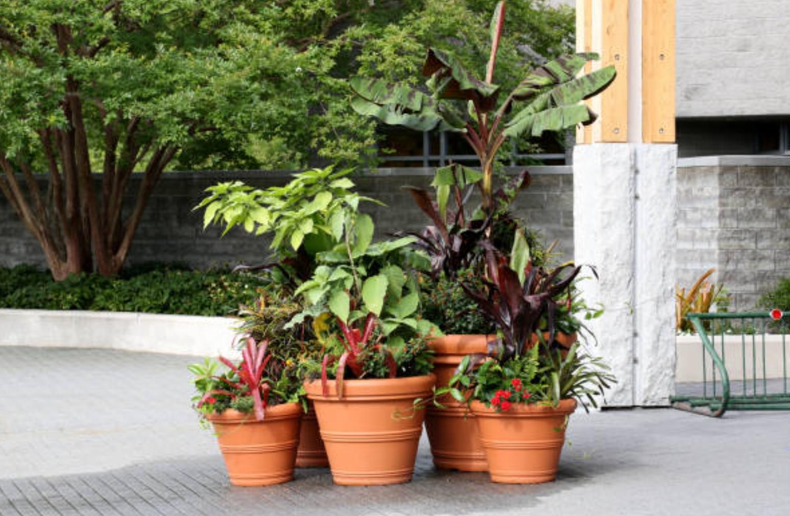 Gardening in Small Spaces: Maximizing Growth with Vertical Garden Pots